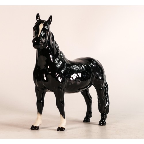 123 - Rare Beswick black gloss Pinto pony 1373, first version. Good condition, no factory back stamp.