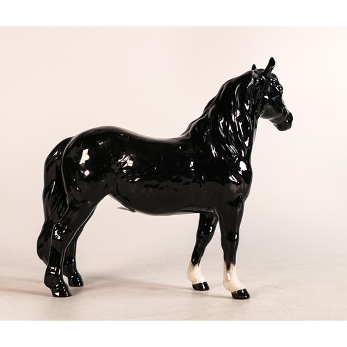 123 - Rare Beswick black gloss Pinto pony 1373, first version. Good condition, no factory back stamp.