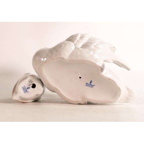 63 - Boxed Lladro Goose 010.08040 and Cisne Alas Abiertas 5.231