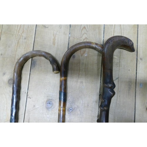 359 - Three Victorian and later walking sticks to include gnarled example with glass eyed dogs head handle... 