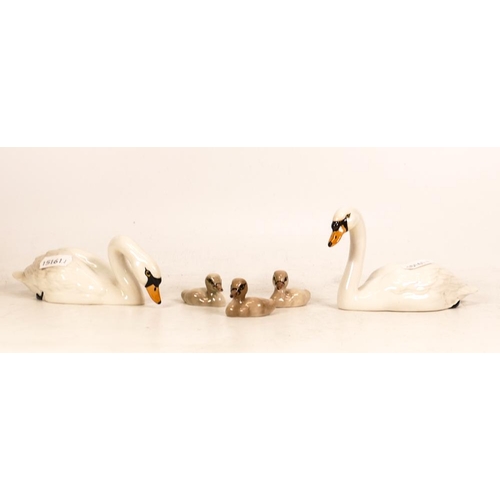 300 - Beswick Swans & Signets 1685 & 1684(5)(nip to tail of one swan)