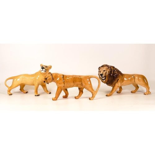 301 - Beswick Lion Family Figures to include Lion 2087, Lioness Facing Right 1507 and Lioness Facing Left.... 