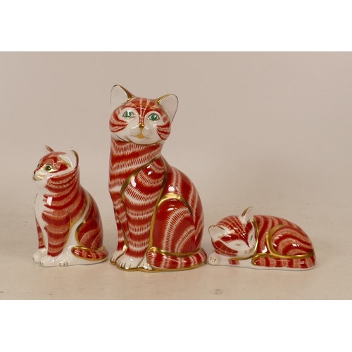 252 - Royal Crown Derby Ginger Cat paperweight  together with matching a Sitting Kitten and Sleeping Kitte... 