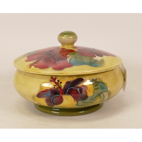 497 - Moorcroft Hibiscus lidded pot on faded yellow/green ground, height 10cm