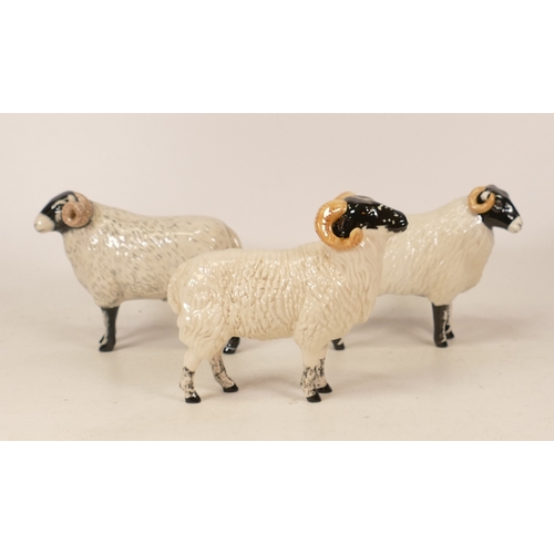 513 - Beswick Boreray sheep 4124 together with Swaledale Ewe and Swaledale Ram (3)