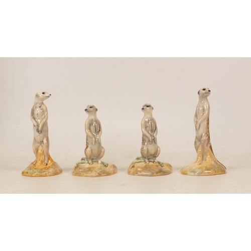 226 - Two sets of Beswick Meerkats,  Standing and Meercat Sitting, both special editions , boxed (4)