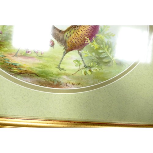 302 - Two hand painted oval porcelain plaques decorated by E J Garnett. Frame size 33.5cm x 39.5cm