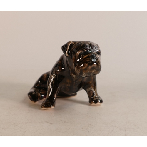 298 - Anita Harris British Bulldog, Gold Signed, height 6.5cm, length 10cm