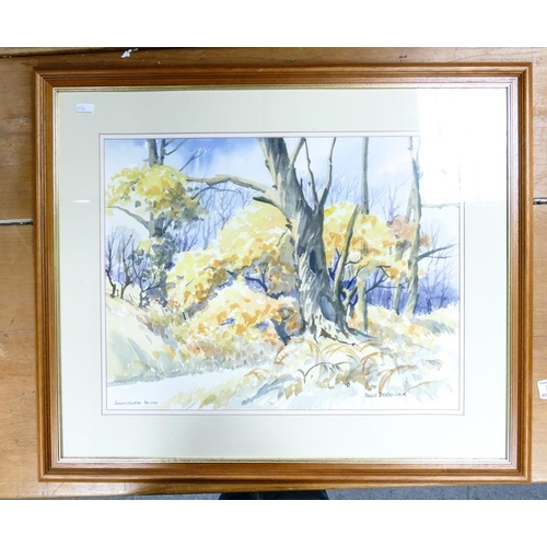 476 - Doris BROWN (1933- 2023), 'Demonstration Dec 2000' Framed Watercolour on Paper of a Wooded Landscape... 