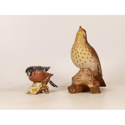 491 - Two Beswick Birds to include Matte Thrush 2308 together with Bullfinch 1042