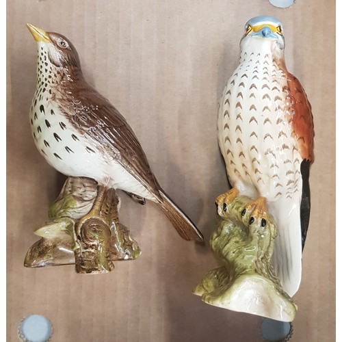 578 - Beswick Kestrel figure together with a Beswick Thrush (2).