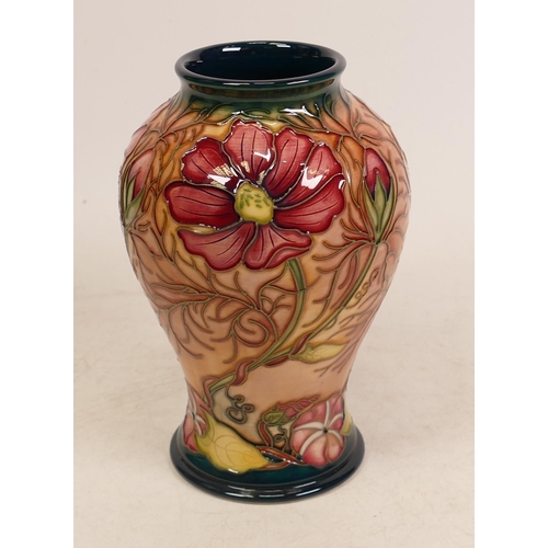 37 - Moorcroft Cosmos vase. Dated 2000 , height 16cm