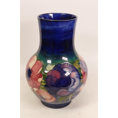 46 - Large Moorcroft Anemone vase on blue ground. Height 26cm