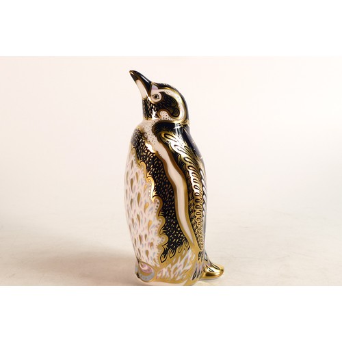 274 - Royal Crown derby paperweight, Galapagos Penguin, part of the Endangered Species Collection,  limite... 