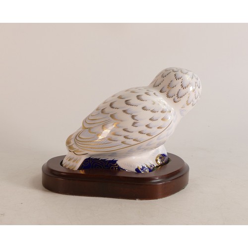 307 - Royal Crown Derby paperweight Snowy Owl, limited edition for Collectors Guild, boxed with wood plint... 