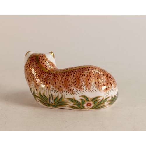 311 - Royal Crown Derby paperweight Leicestershire Fox, limited edition for Wheelers of Loughborough.