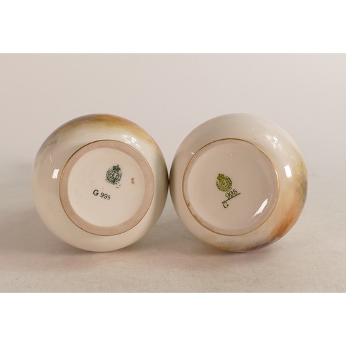 456 - A pair of Royal Worcester twin handled vases decorated in the highland cattle design. Stamped to bas... 