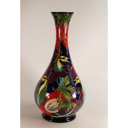 666 - Moorcroft prestige Australian Rainbow Bee Eater vase, signed by designer Kerry Goodwin. Limited edit... 