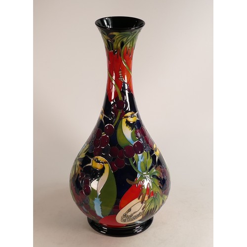 666 - Moorcroft prestige Australian Rainbow Bee Eater vase, signed by designer Kerry Goodwin. Limited edit... 