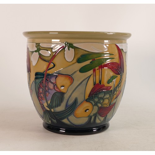 690 - Moorcroft Carp Circle planter.  Designed and signed by Nicola Slaney limited edition 74/75. Diameter... 