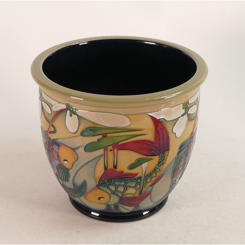 690 - Moorcroft Carp Circle planter.  Designed and signed by Nicola Slaney limited edition 74/75. Diameter... 