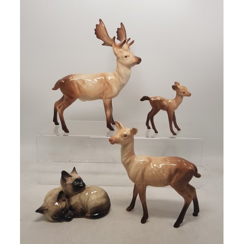 477 - Beswick stag family to include stag (antler a/f), doe and fawn, together with a Beswick Siamese cat ... 