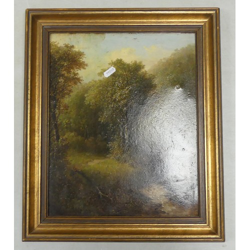 523 - Late 19th Century of Later Framed Oil on Canvas, unsigned. Scene depicting a Woodland Scene with a B... 