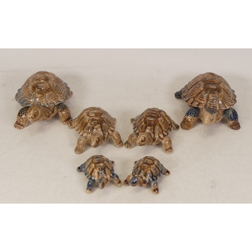 213 - A collection of Wade turtles (6)