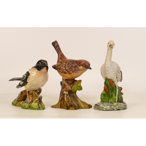 233 - A. M. Cooper, Model of a Wren, Brambling and a Wading Bird. Height of tallest: 12.5cm (3)