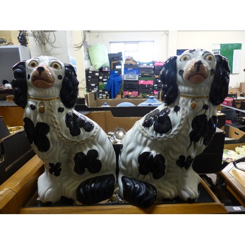 159 - A Pair of Victorian Staffordshire Spaniels in Black and Gilt. Height: 25cm (2)