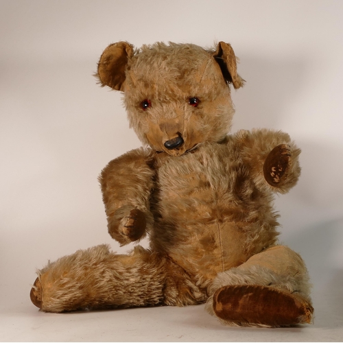 238 - Vintage mohair jointed teddy bear with glass eyes. Length 62cm