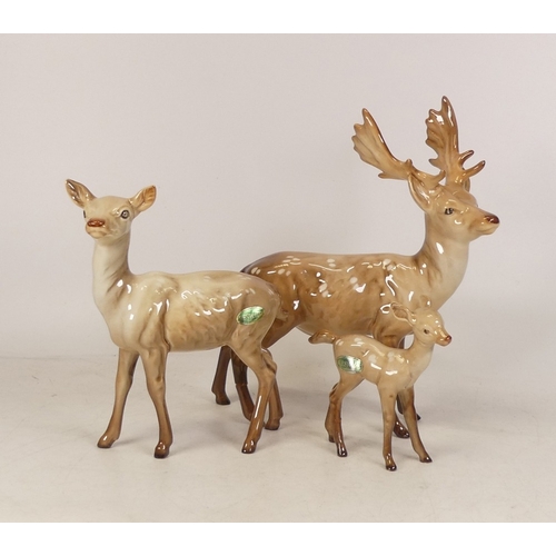 243 - Beswick deer family to include: stag, Doe and Fawn (fawn legs reglued) (3)