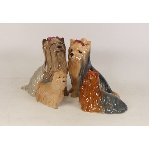 269 - Beswick Yorkshire Terriers to include lying 1944, terrier 3277, seated 3262 and standing 3262 (4)