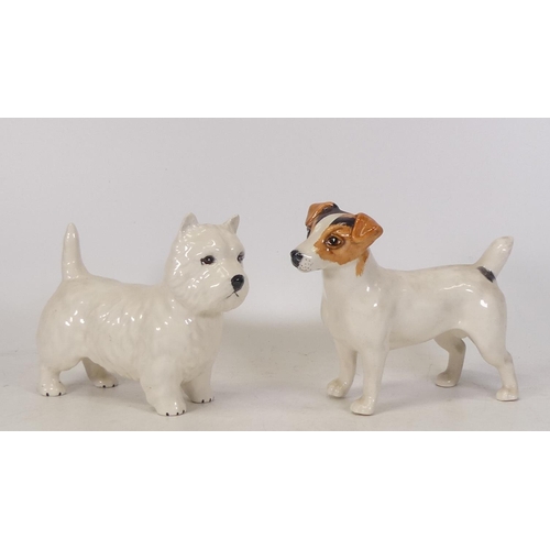 247 - Beswick large Jack Russell and West Highland terrier (2)