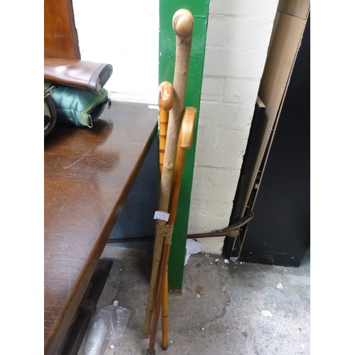 645 - A mixed assortment of walking sticks and canes