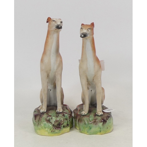 189 - Two Staffordshire Seated Greyhounds on naturalistic bases. Height: 15.5cm (2)