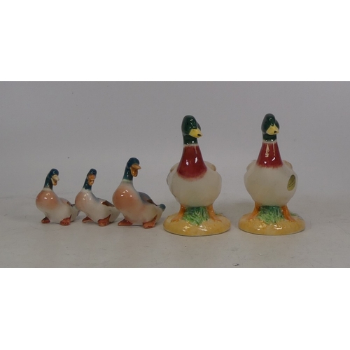 466 - Beswick Mallard Duck Figurines various sizes The Tallest Two measure 10cm to the top of the head(5)