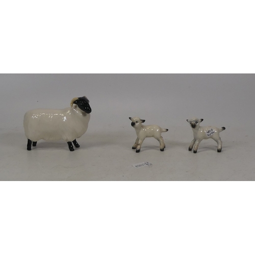 489 - Beswick Selection Of Sheep including A Black Faced Sheep No.1765 And two Lambs (3)