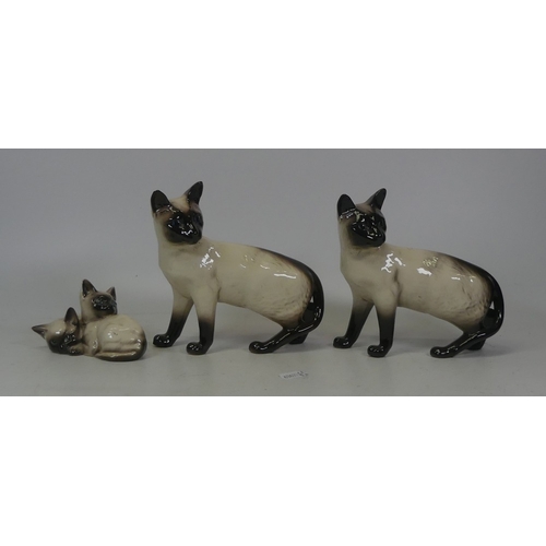 490 - Beswick selection of Siamese Cats including Kittens No.1296, To Large forward Facing Cats(3)