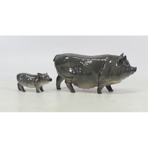 51 - Royal Doulton Vietnamese Pot Bllied Pig and Piglet (2)