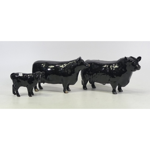 52 - Beswick Aberdeen Angus Family to include Bull, Cow and Calf (3)