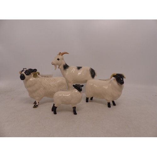 497 - Beswick Ram Family including Black Face Ram 3071, Sheep 1765 and lamb 1828. and a Royal Doulton Goat... 