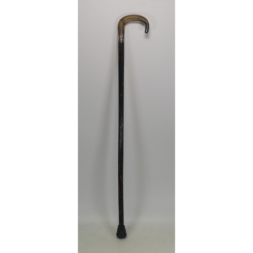 41 - A Wooden Walking Stick With A Silver Collar And Horn Handle