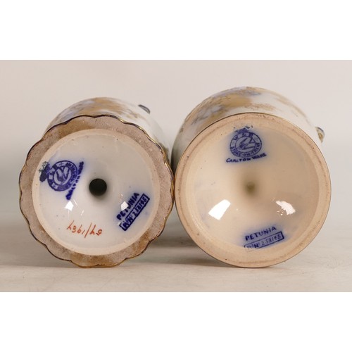 67 - Two Carlton ware blue/white twin handled vases with floral Petunia decoration, by Wiltshaw & Robinso... 