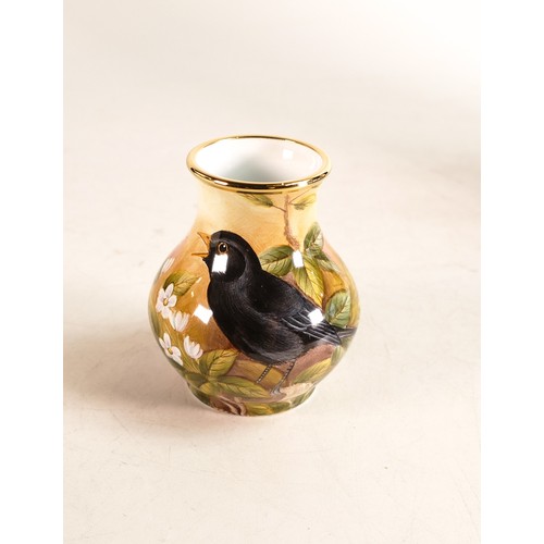 230 - Moorcroft enamel Blackbird vase by Stephen Smith. Limited edition 23/30. Boxed with certificate. Hei... 