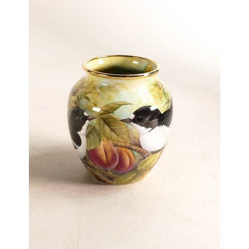 235 - Moorcroft enamel Pied Flycatcher vase by Stephen Smith. Trial piece dated 7/8/05. Boxed, height 7.5c... 