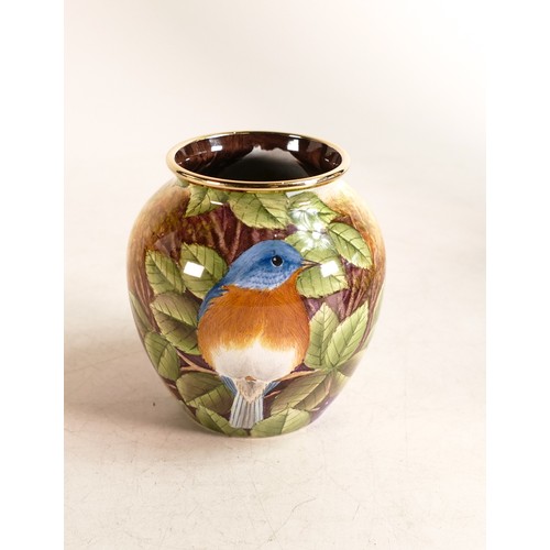 236 - Moorcroft enamel American Bluebird vase by Stephen Smith. Limited edition 1/25. Boxed with certifica... 