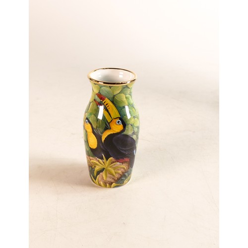 250 - Moorcroft enamel Toucan vase by Stephen Smith. Trial piece dated 15/10/01. Boxed, height 9cm