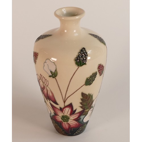 331 - Moorcroft, Bramble Revisited design vase. Height: 16cm