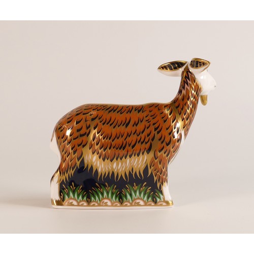 404 - Royal Crown Derby exclusive edition Nanny Goat paperweight: Gold stopper, boxed.